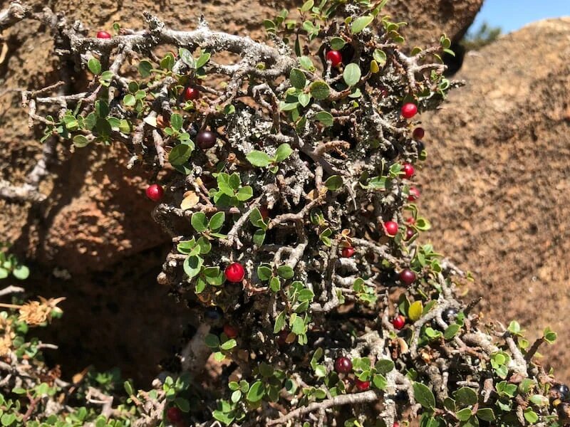 Фото: UfacityNews.ru