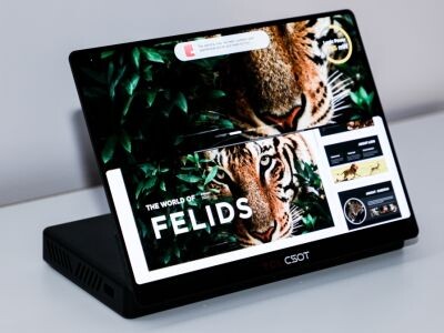    TCL показала печатный OLED-экран и 8K-дисплей с частотой 1000 Гц