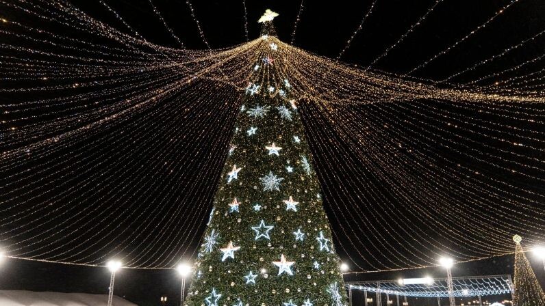    Фото: Melnikov Dmitriy/Shutterstock/Fotodom