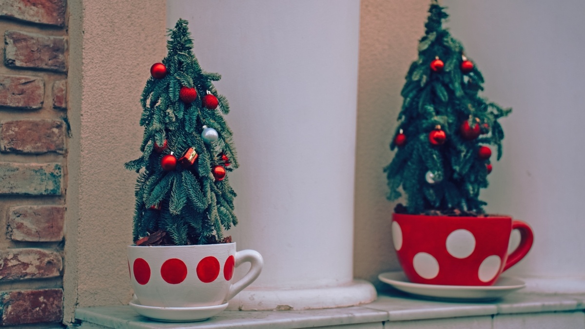 Фото: Светлана Мулыкина📷
