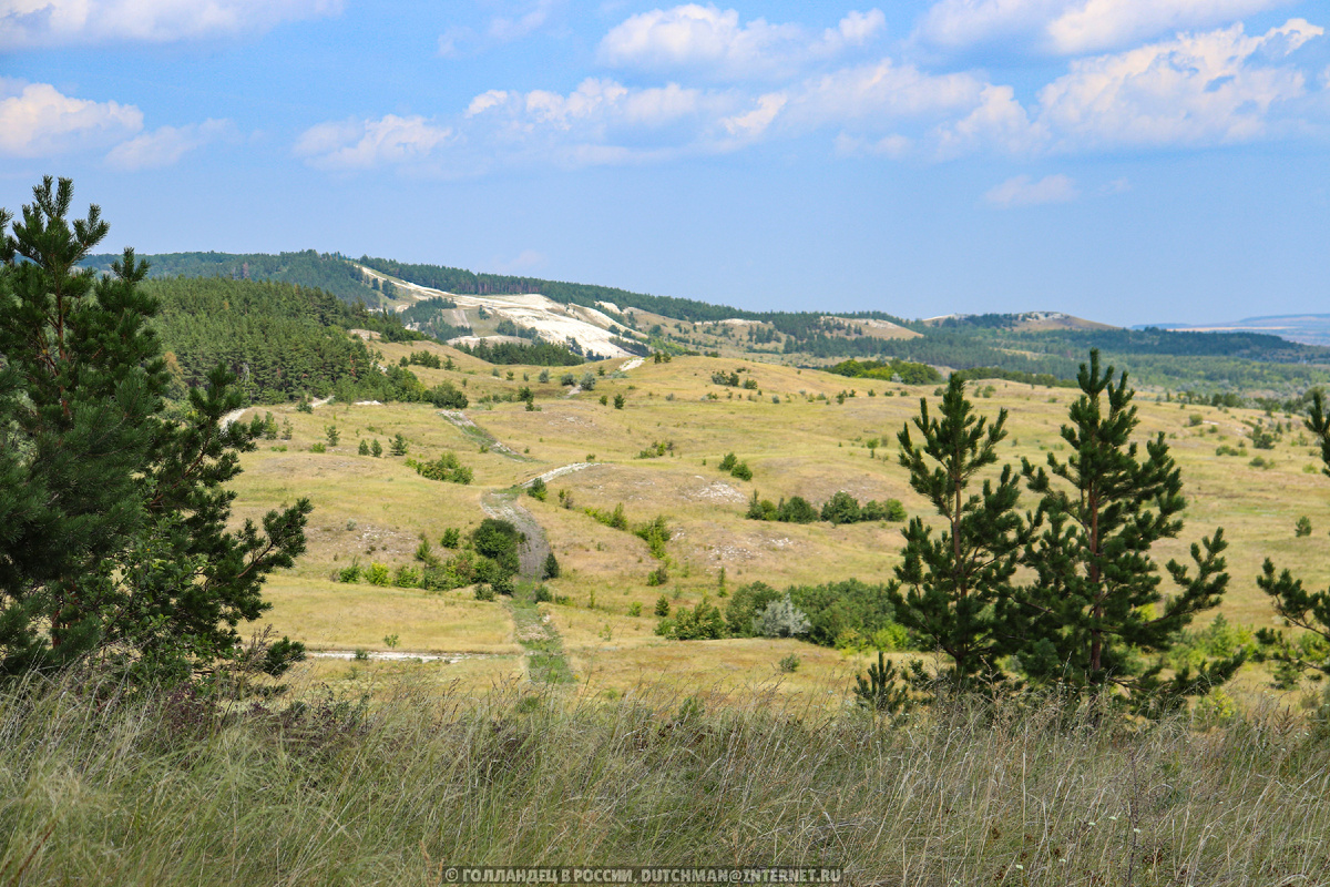 Природа рядом с Хвалынском. Фото: Голландец в России
