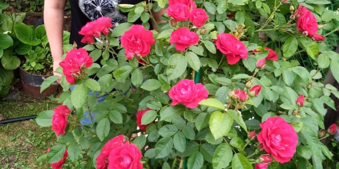 Сегодня необычный день🎉