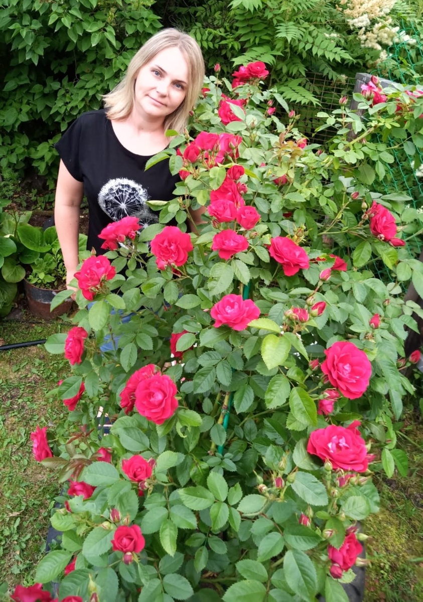 У меня почему-то нет фото где я и розы. Надо исправить 😊. Молодые Фламентанц и я)