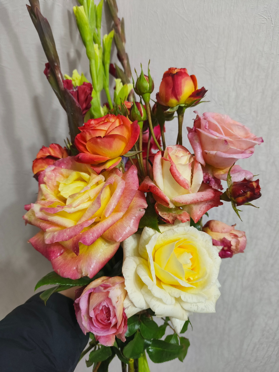 Последние розочки этого сезона