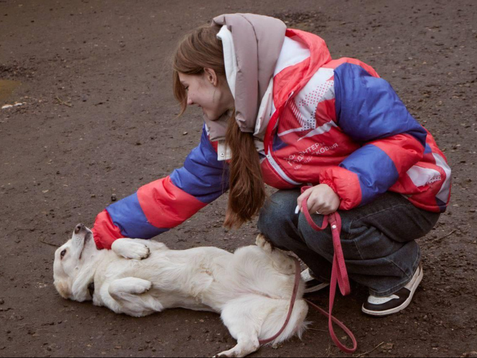    Фото: пресс-служба администрации г.о. Солнечногорск