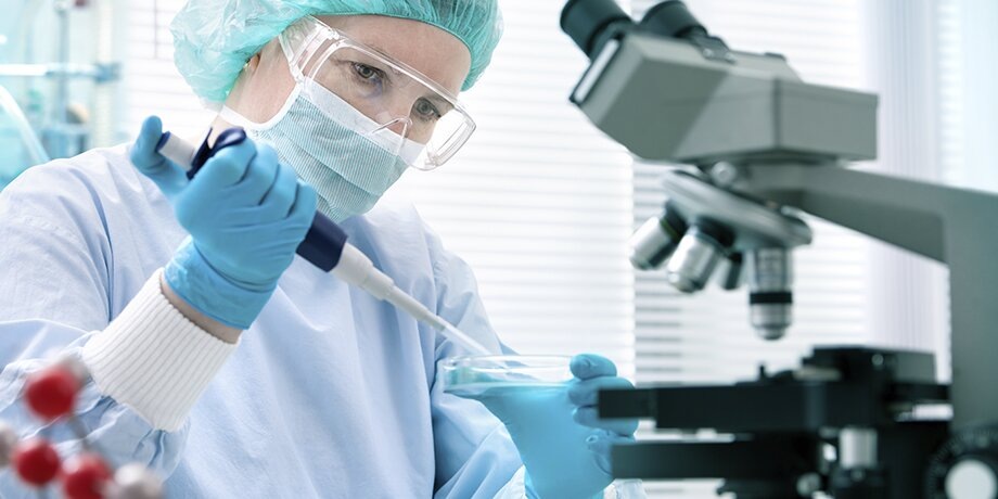  Фото: depositphotos/alexraths