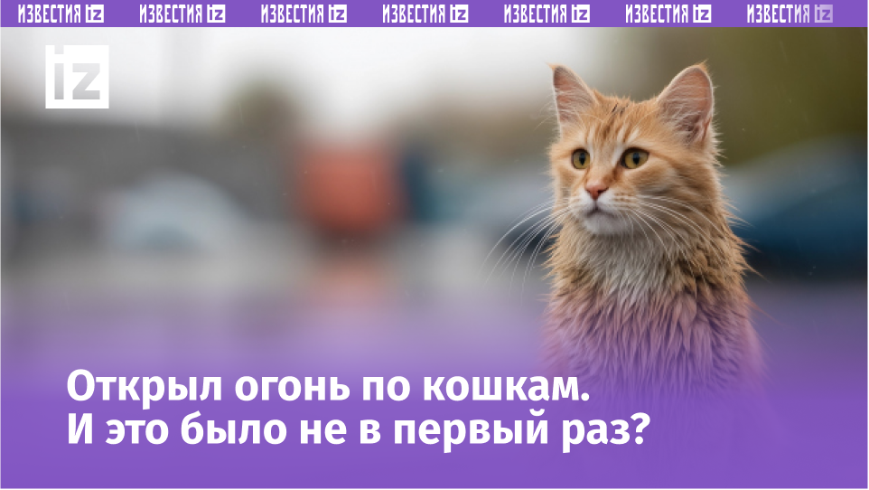 Фото: 5-tv.ru
