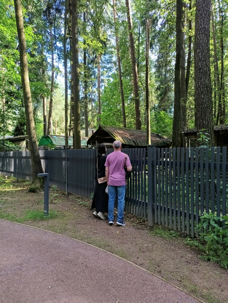 Вот они великаны в пространстве сада, фото автора