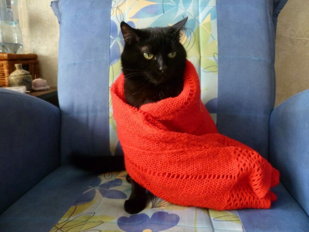     Фото: Петроград / Юлия Пасичная
📷    Фото: Петроград / Юлия Пасичная
📷    Фото: Петроград / Юлия Пасичная
📷    Фото: Петроград / Юлия Пасичная
📷    Фото: Петроград / Юлия Пасичная
