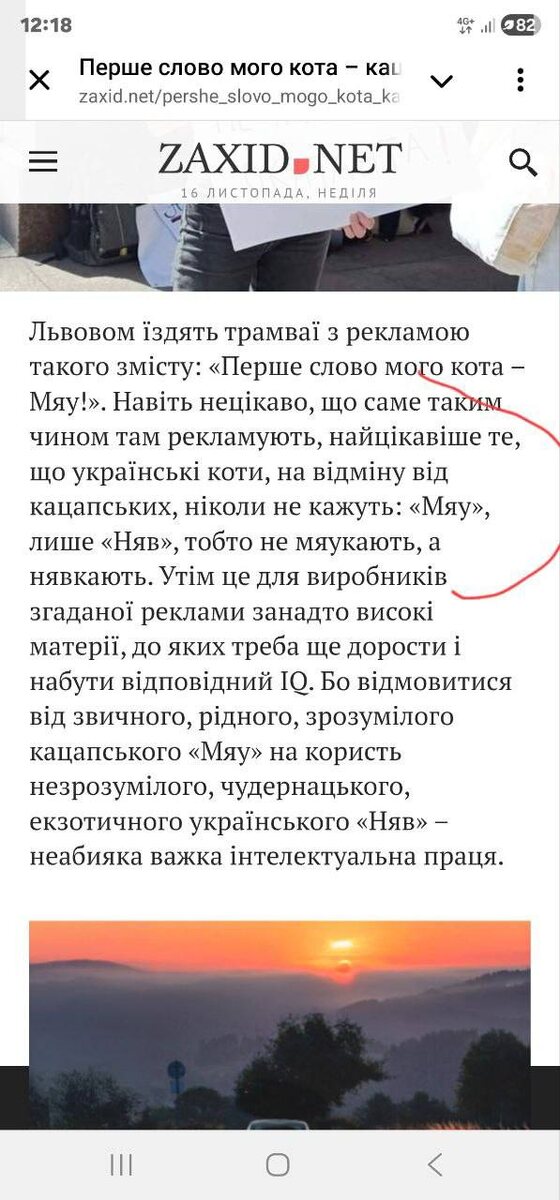 Ссылка выше