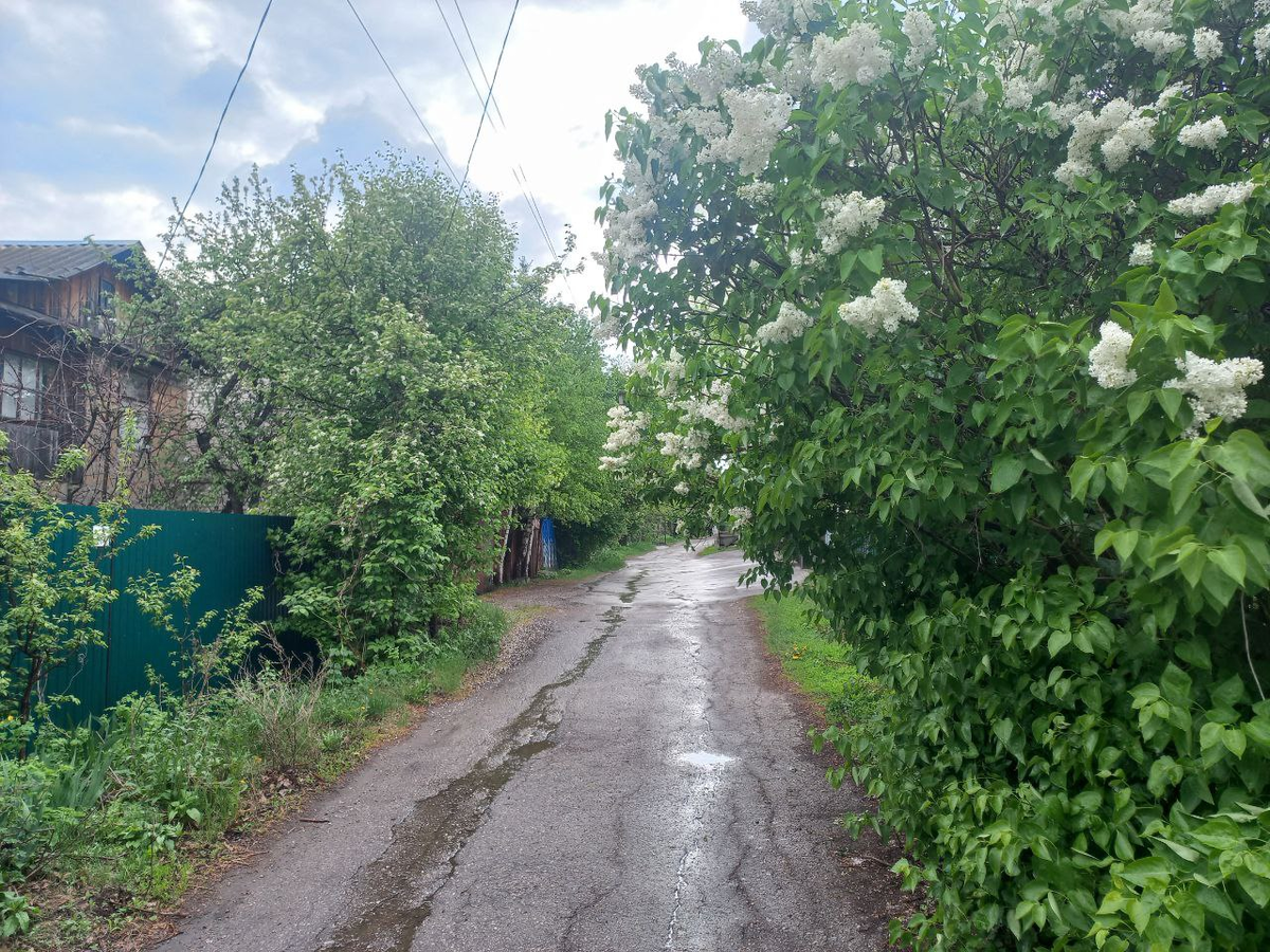 Фото автора.