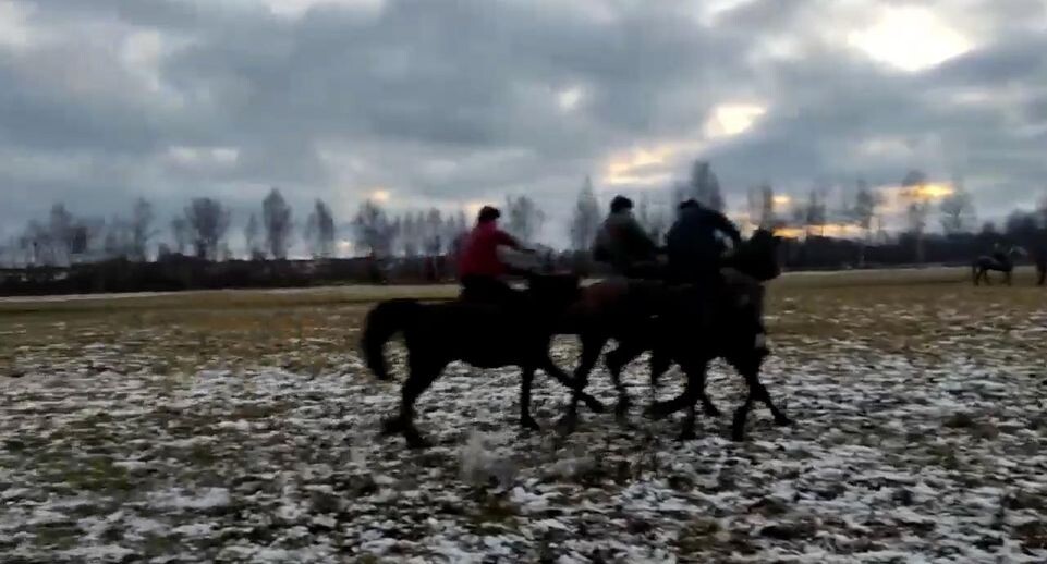    РИА «Новости»