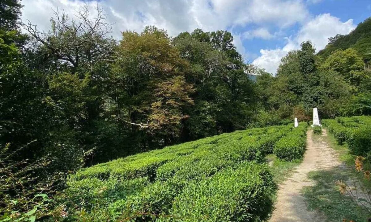    Фото пресс-службы администрации Краснодарского края