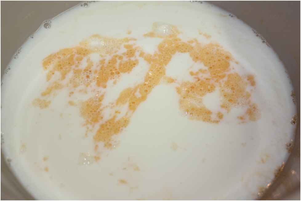 Личное фото автора.