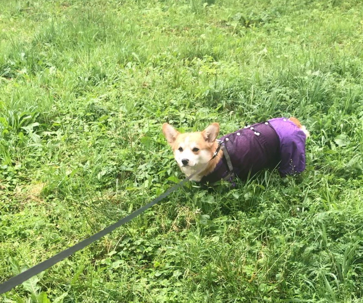 По моей недовольной мордашке все понятно