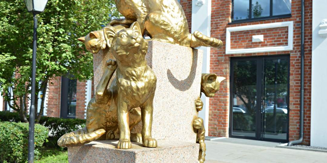 Слово о Сибири. Ты не живёшь здесь. Ты — становишься Сибирью.