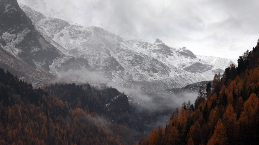    Фото: www.globallookpress.com/Karl-Josef Hildenbrand