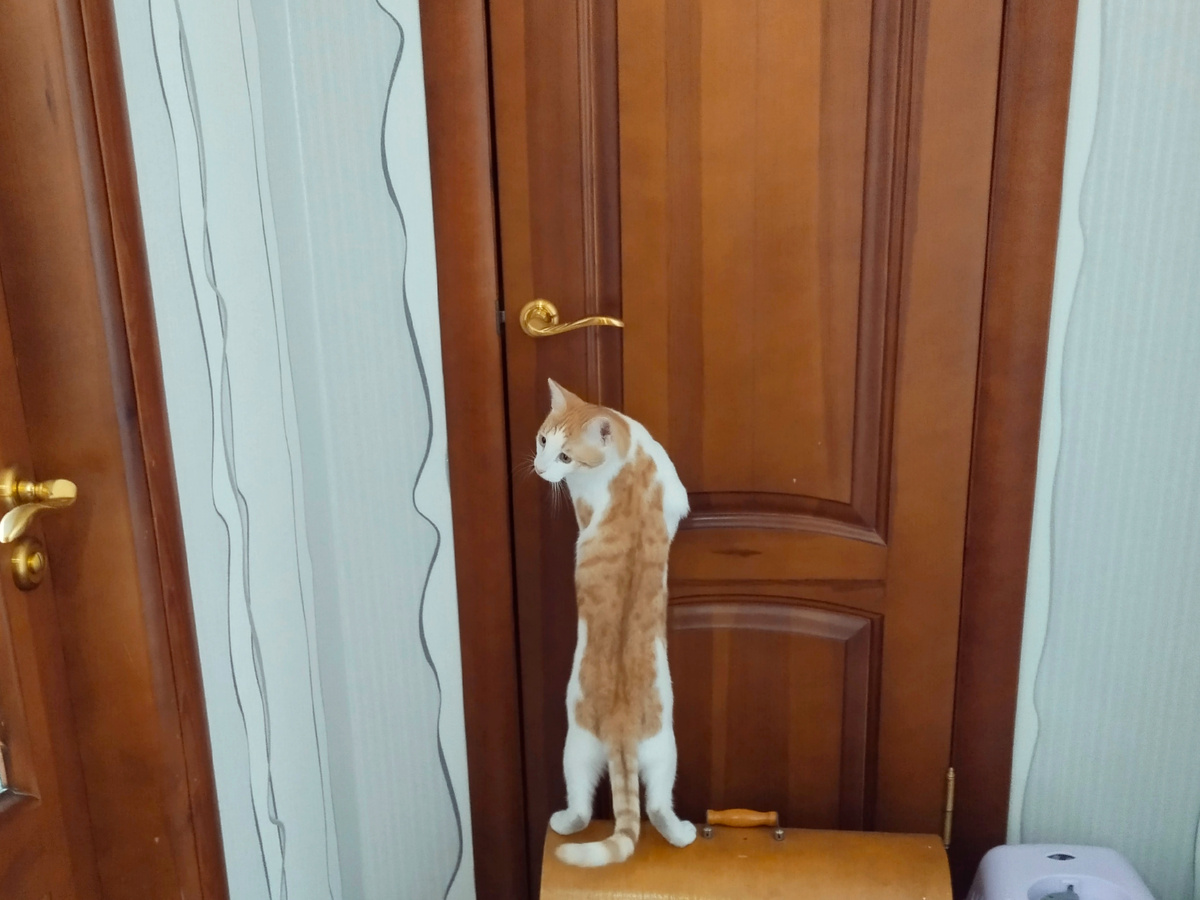 Зачем закрывать двери?