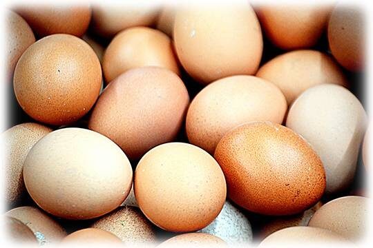    Российских фермеров оставили без яиц