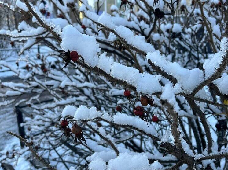     Специалисты применили противогололедные материалы. Фото: архив МК в Питере