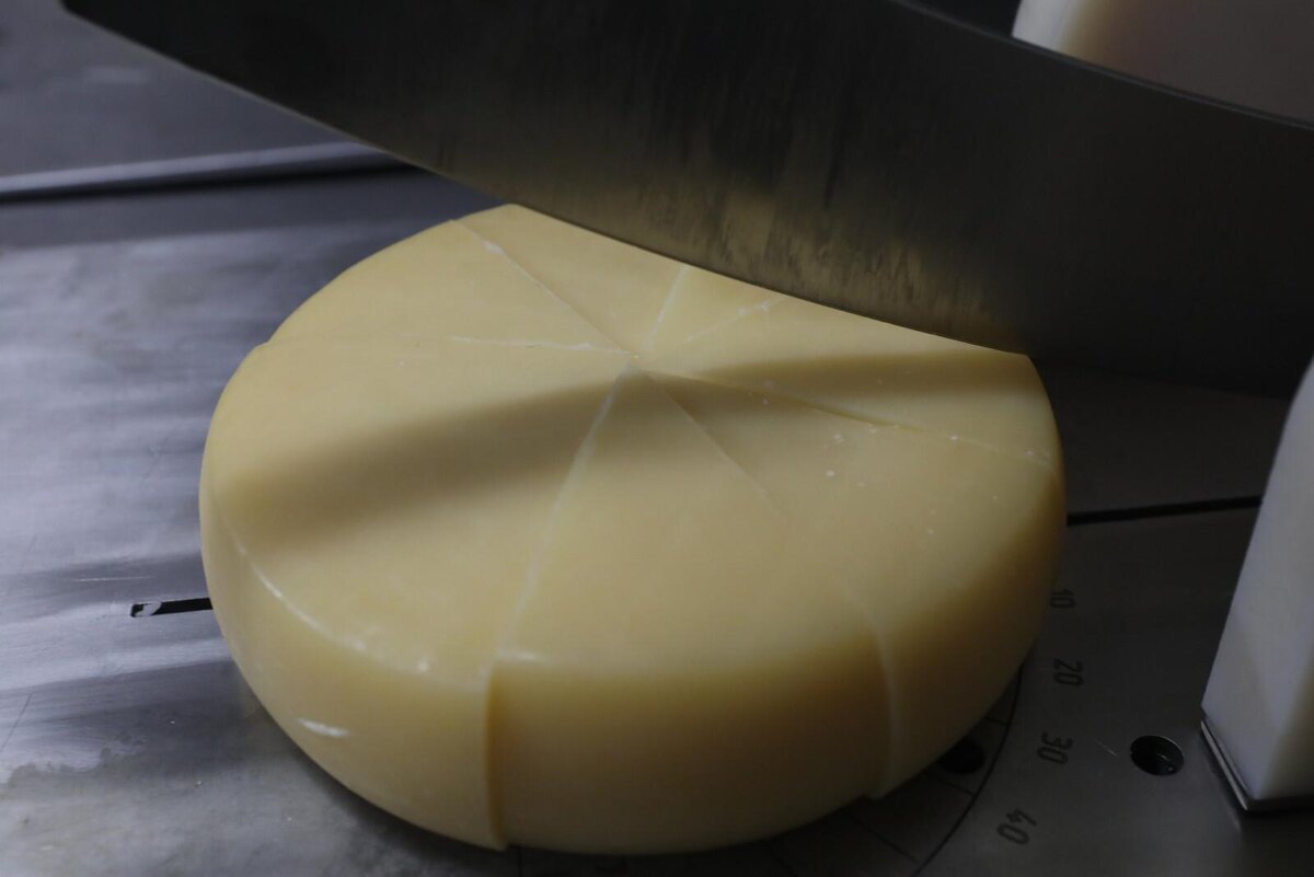 Фото: Роман Пименов/«Петербургский дневник»
