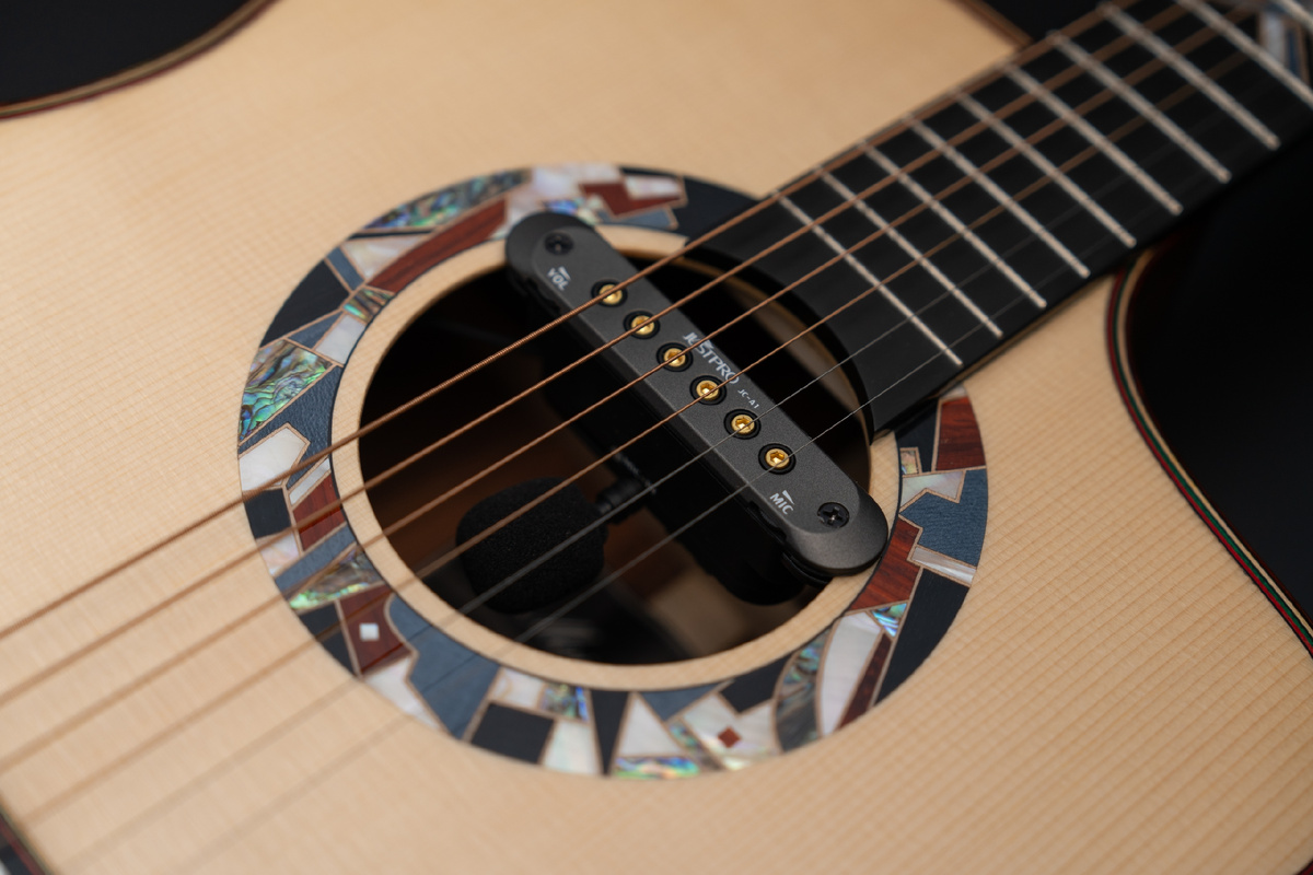 Электроакустическая гитара MeridaExtrema Poison