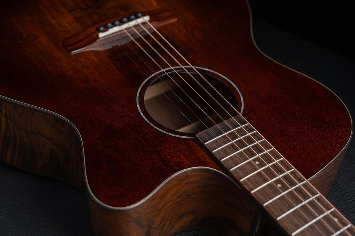 Акустическая гитара MeridaExtrema Black Panther 