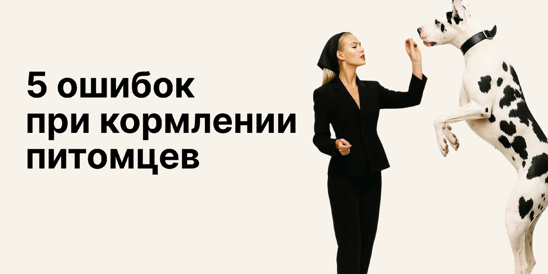 5 ошибок при кормлении питомцев