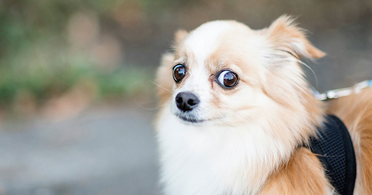 Michelle Tresemer / Unsplash