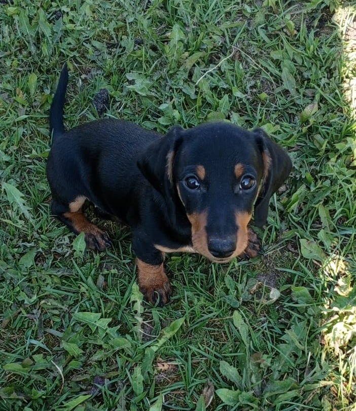 Вот такая когда-то была Кати