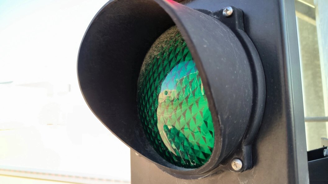    Фото: Maksim Konstantinov/Global Look Press