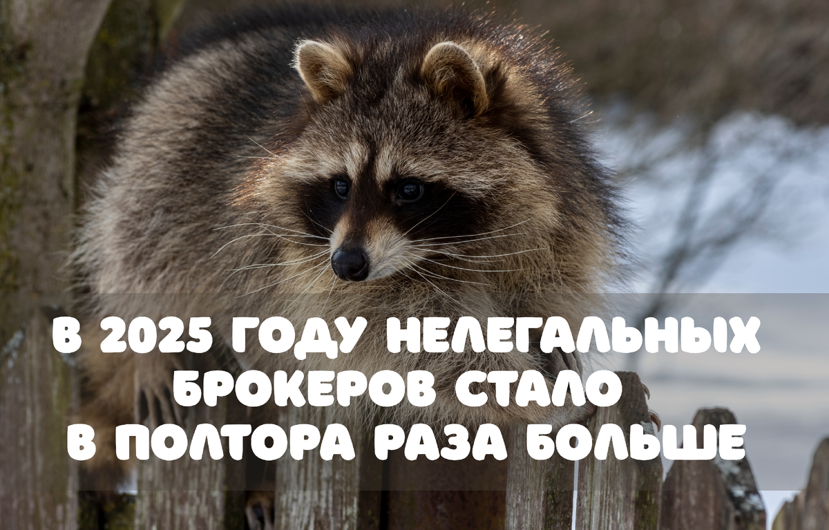 Фото: kosmos7764 / Shutterstock