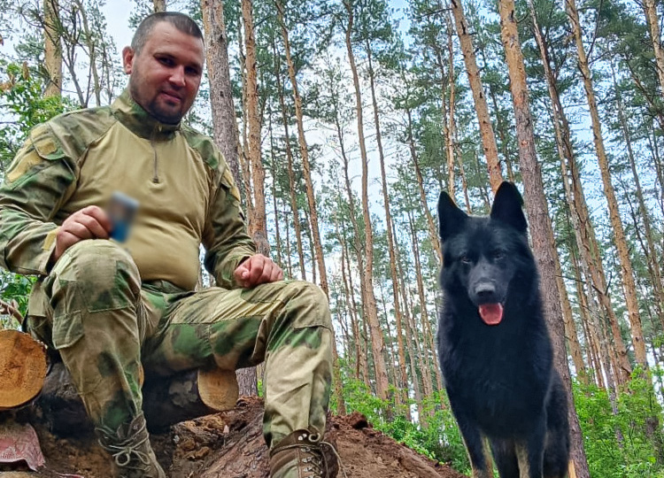 Овчарку посмертно номинировали на премию «Мой ласковый и нужный зверь»
