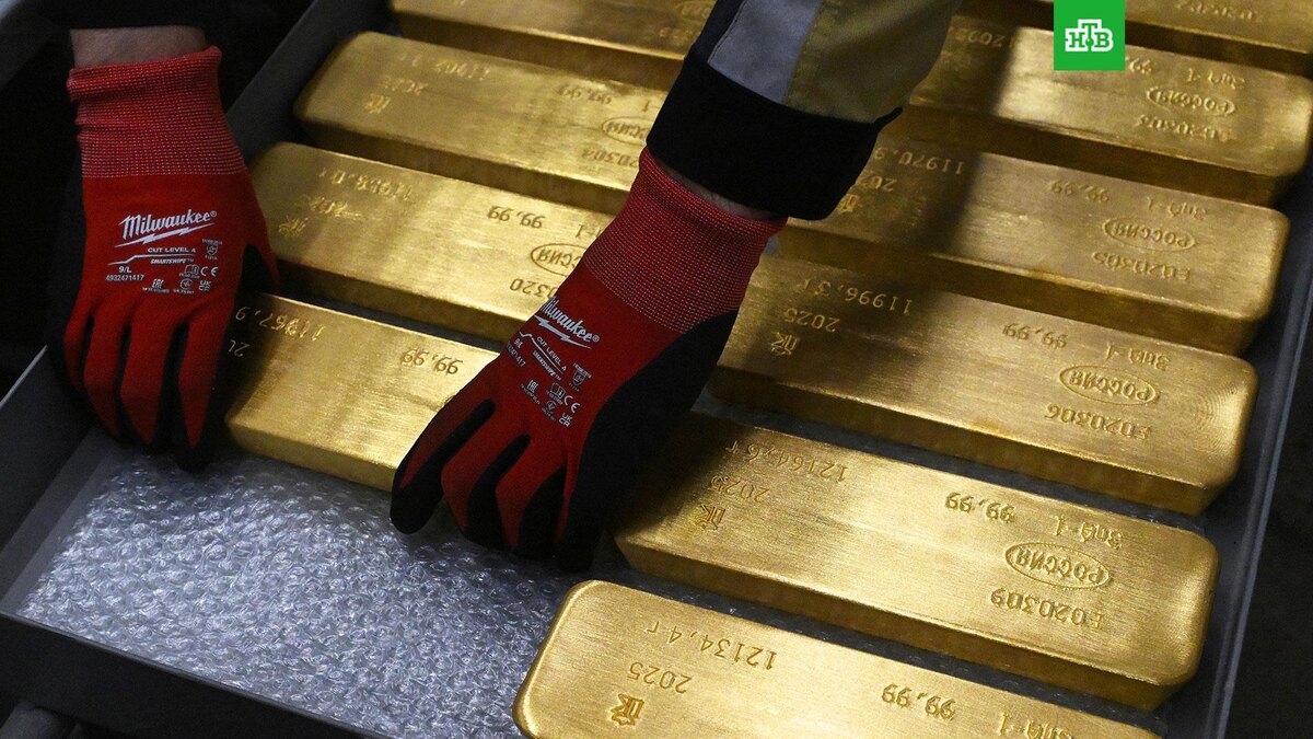    Фото: РИА Новости © 2025, Илья Наймушин