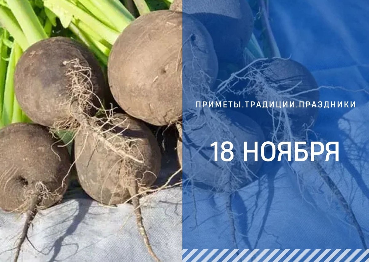   ГТРК "Ставрополье"