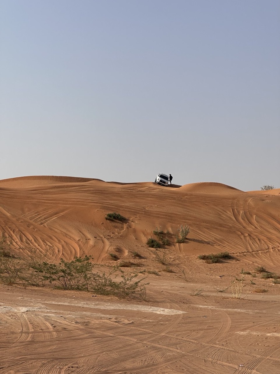 Среди песчаных дюн