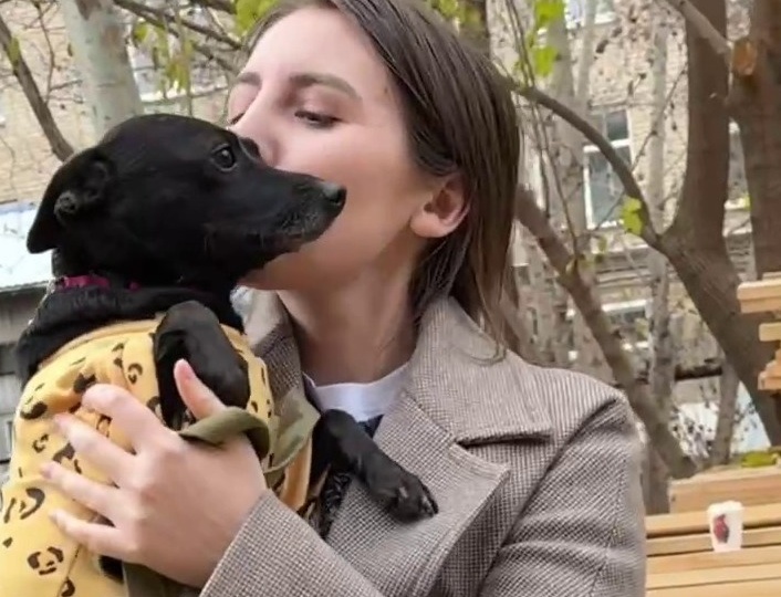 «Единственная выжила там, где всех убили»: история дворняжки Тильды трогает до слез