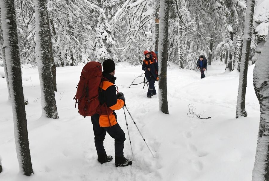     / Источник: © Илья Наймушин/РИА Новости