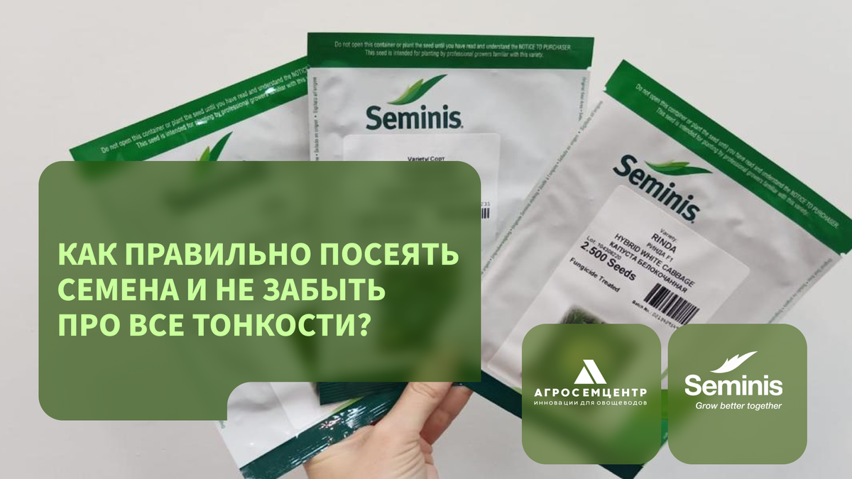 Посев семян – один из ключевых этапов в сельском хозяйстве.