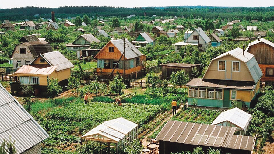 Типичная дача. Вы где-то тут видите большие деревья? Я вижу только дома, грядки и рядом какие то деревца