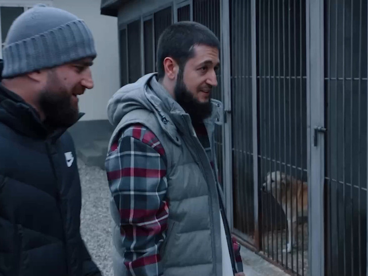     Фото: кадр видео пресс-службы минздрава ЧР