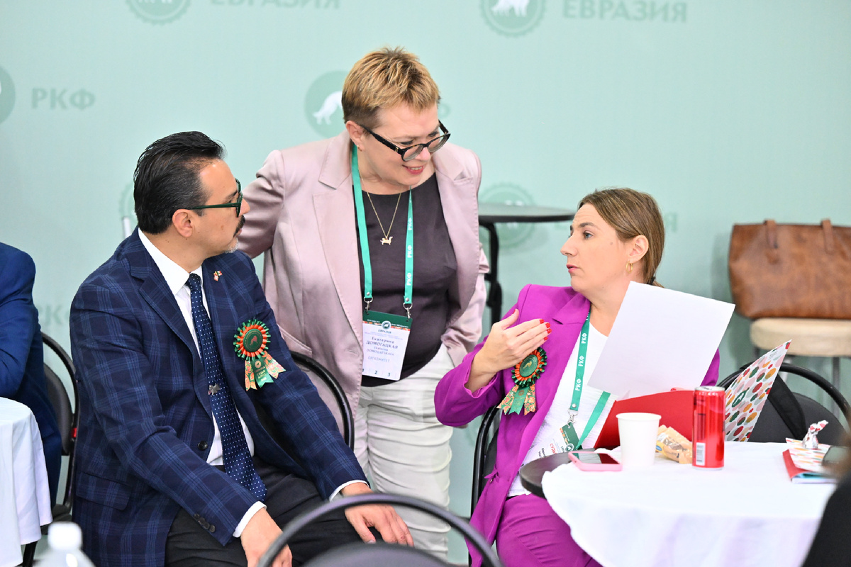 международное жюри выставки собак «Евразия 2025»
