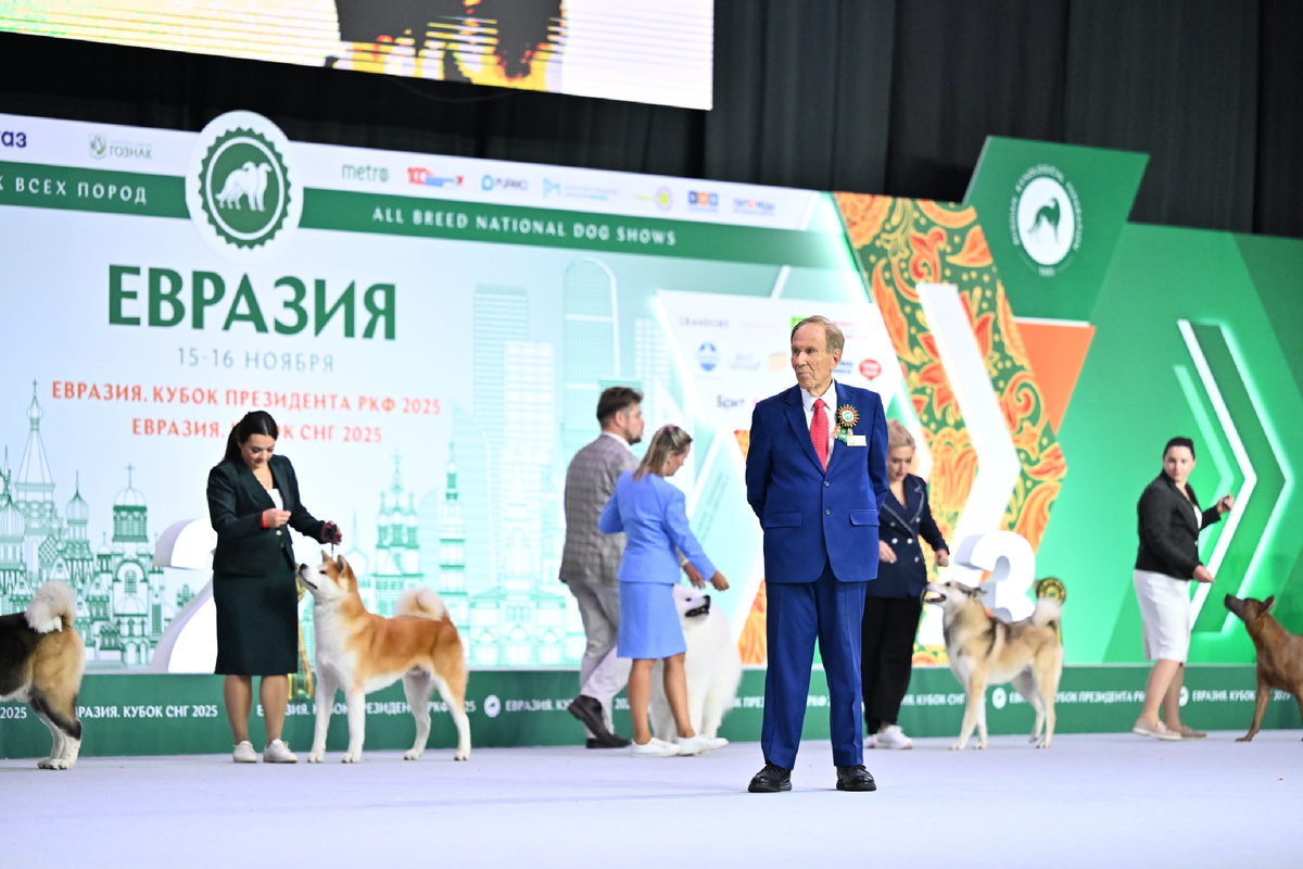 международное жюри выставки собак «Евразия 2025»