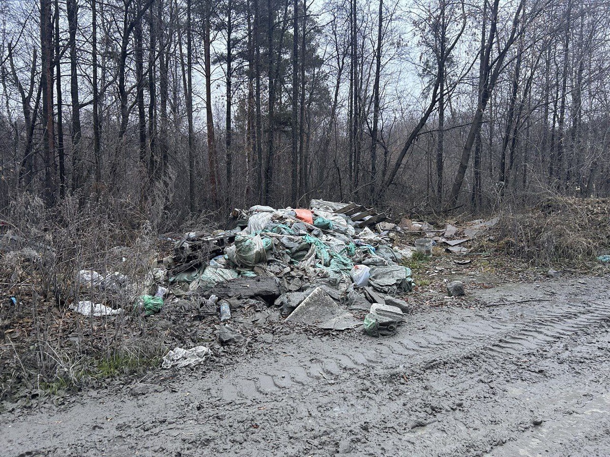     Фото: подписчица телеграм-канала «На Шарташ!»