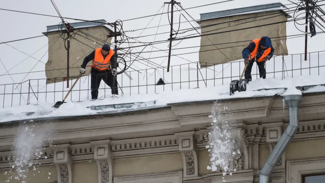    фото: Коллаж Царьграда