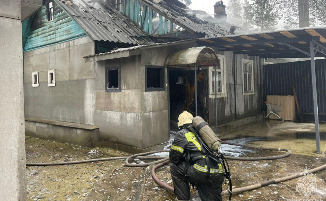    © Пресс-служба ГУ МЧС по Ленинградской области