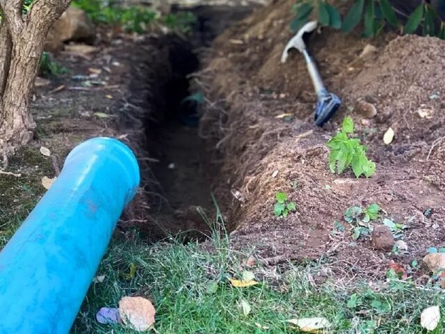    Фото: ladbible.com