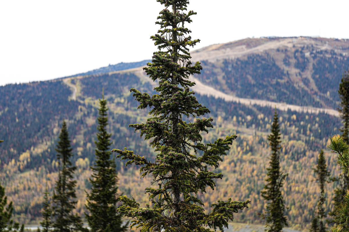 Razmik Zackaryan / URA.RU / Global Look Press