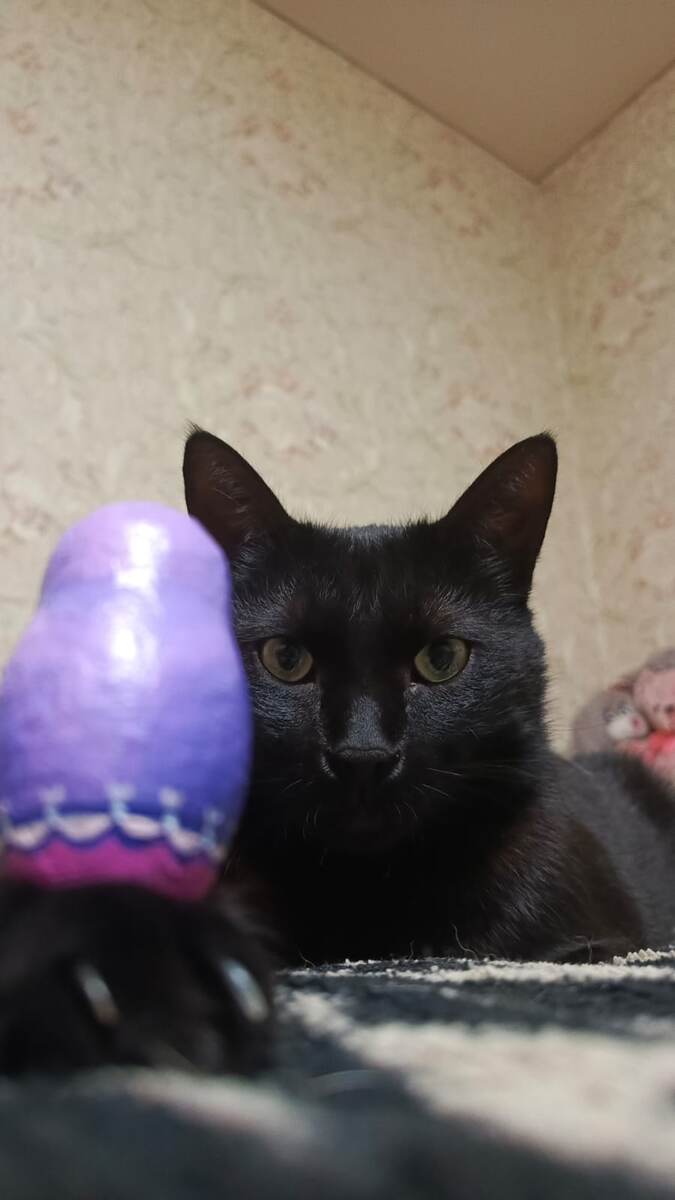 Фотомодель