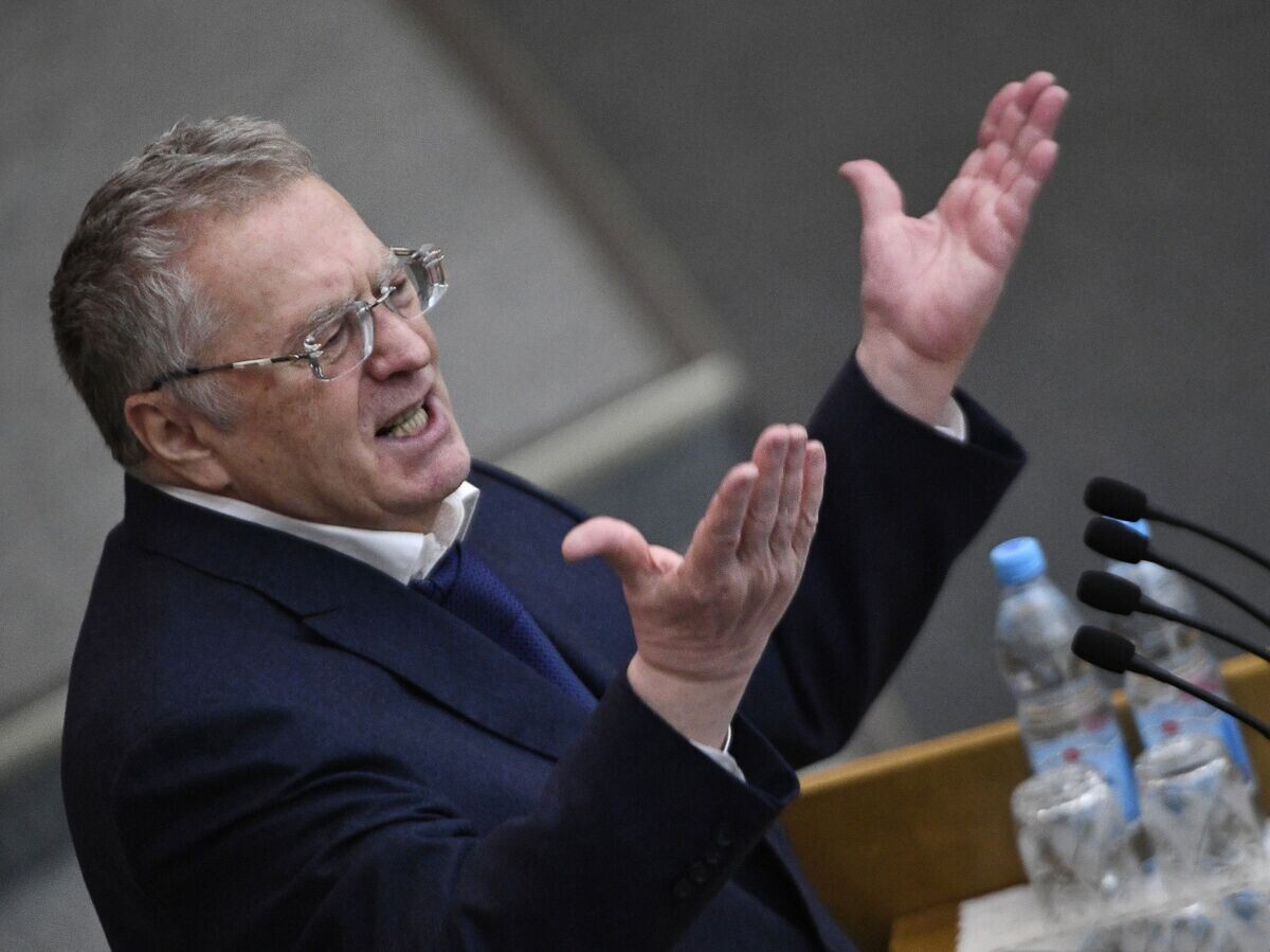    Владимир Жириновский на пленарном заседании Государственной Думы РФ© РИА Новости / Максим Блинов